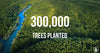 Milestone: Tree Tribe has planted over 300,000 trees on Earth!