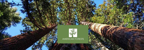 Where Your Trees Are Planted Part 4 - American Forests