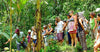 Tree Planting in Costa Rica - CIRENAS and Tree Tribe Collaboration