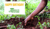 Trees for The Future Turns 29, Happy Birthday!