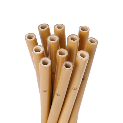 Bamboo Straws (12 pack)  -  Reusable Straws