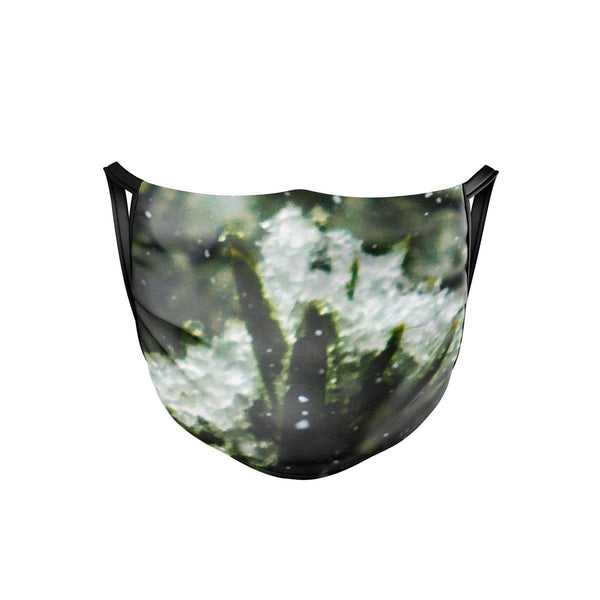 Evergreen Face Mask  -  Face Mask