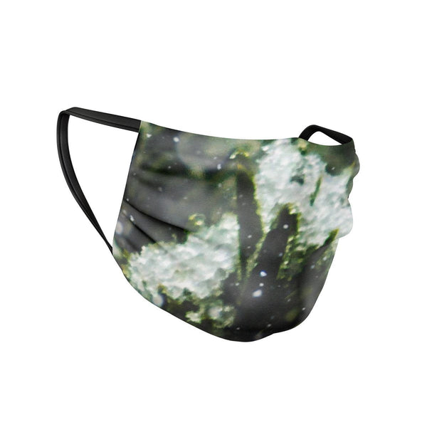 Evergreen Face Mask  -  Face Mask