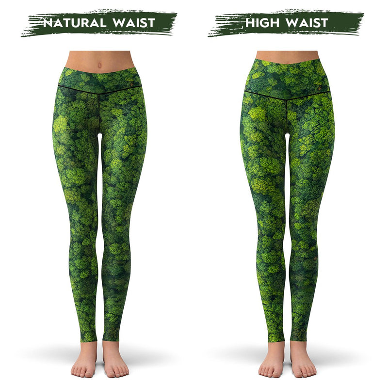 Organic Cotton High Rise Legging - Ten Tree – Wall Street Clothing
